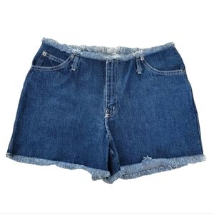 VINTAGE Festival Shorts High Rise Raw Hem Brooklyn Blues Size 7/8